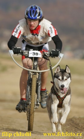 Bakonybel - 0107.JPG